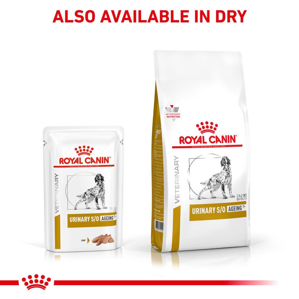 Royal Canin Urinary S/O Ageing 7+ Loaf Adult Wet Dog Food - 48 x 85g