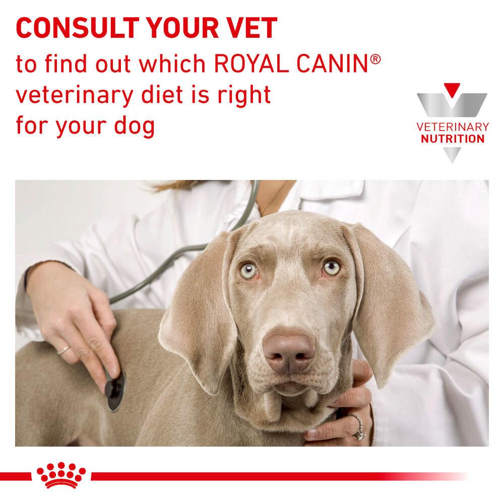 Royal Canin Urinary S/O Ageing 7+ Loaf Adult Wet Dog Food - 48 x 85g