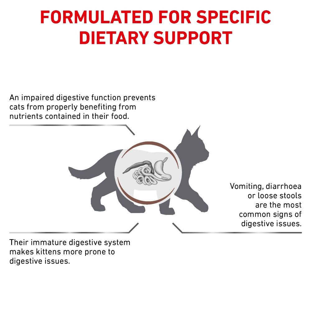 Royal Canin Gastrointestinal Kitten Dry Cat Food - 2kg