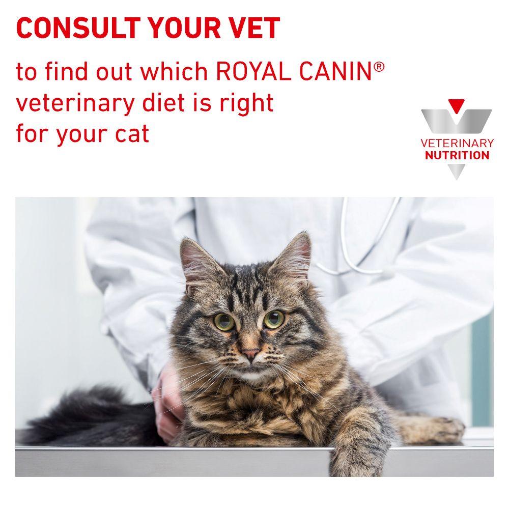 Royal Canin Gastrointestinal Kitten Ultra-soft Mousse Wet Cat Food Tins - 12 x 195g