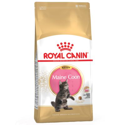 Royal Canin Kitten Maine Coon Dry Cat Food - 400g
