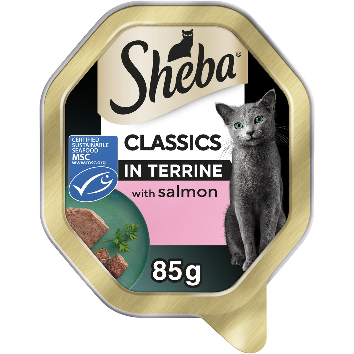 SHEBA Classics Cat Tray with Salmon in Terrine - 22 x 85g