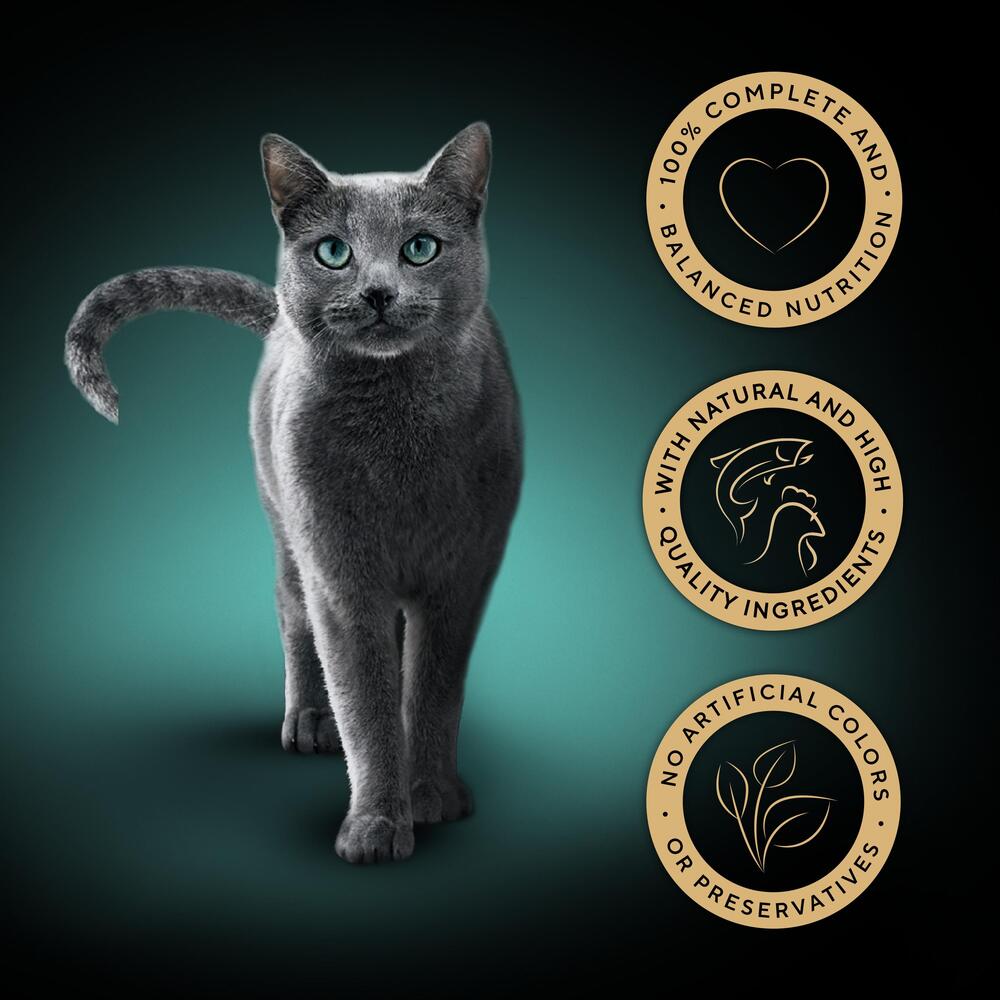 Sheba Fine Flakes Cat Food Trays Salmon & Chicken in Jelly Collection 8x85g