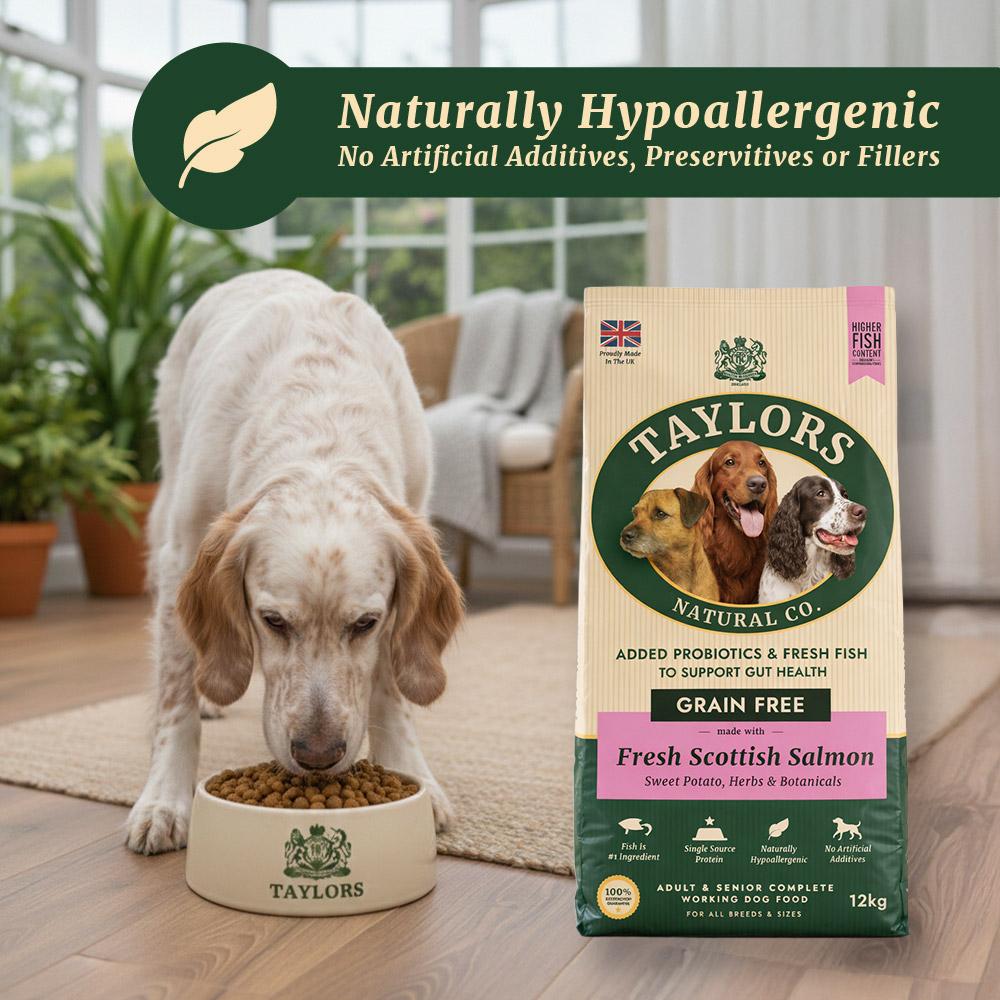 Taylors Grain Free Salmon Adult & Senior Dry Dog Food - 12kg