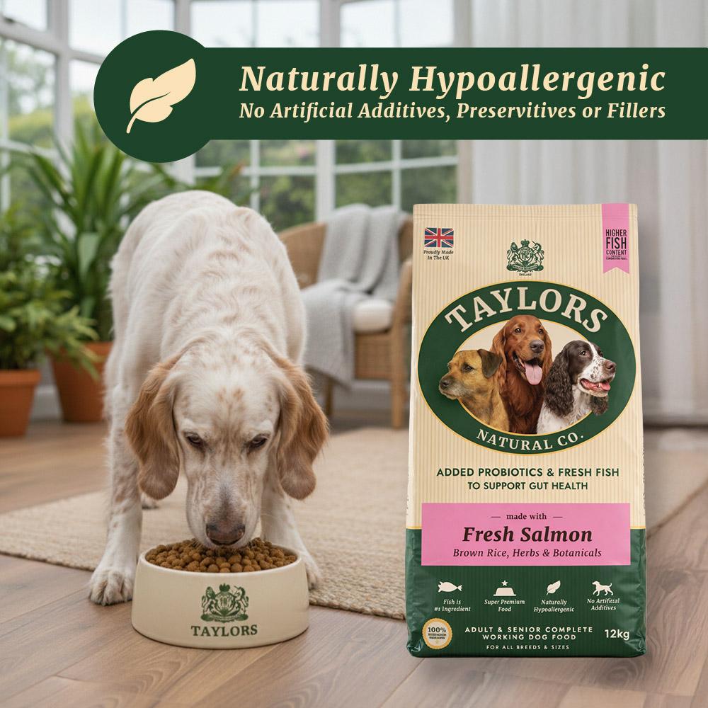 Taylors Salmon And Brown Rice Adult & Senior Dry Dog Food - 12kg