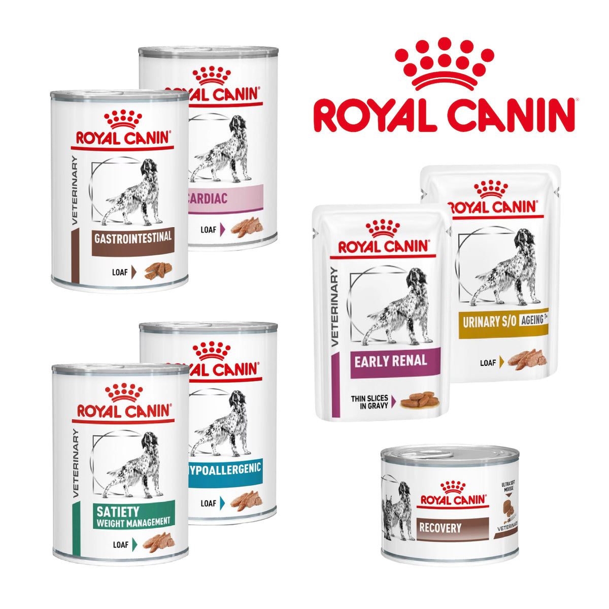 Royal Canin Clinical Wet Dog Food