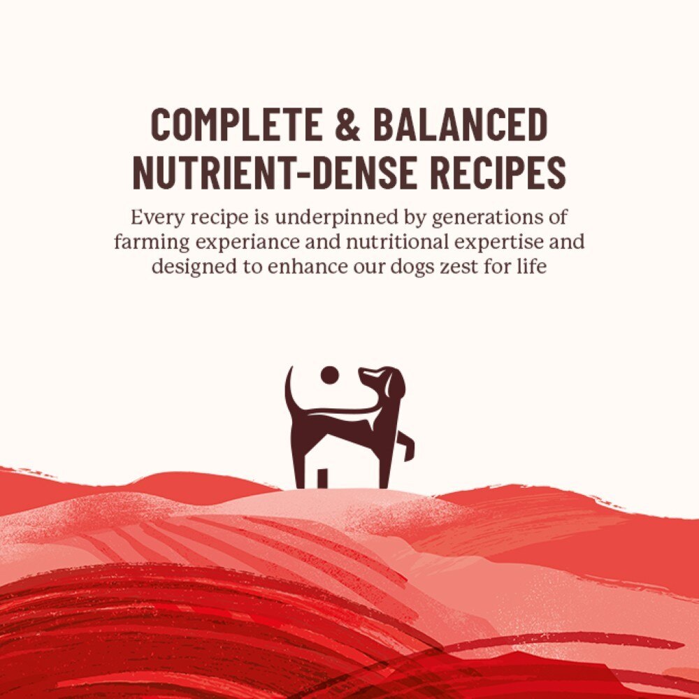 Vitalin Beef & Veg Farmhouse Supper Adult Dry Dog Food - 2kg