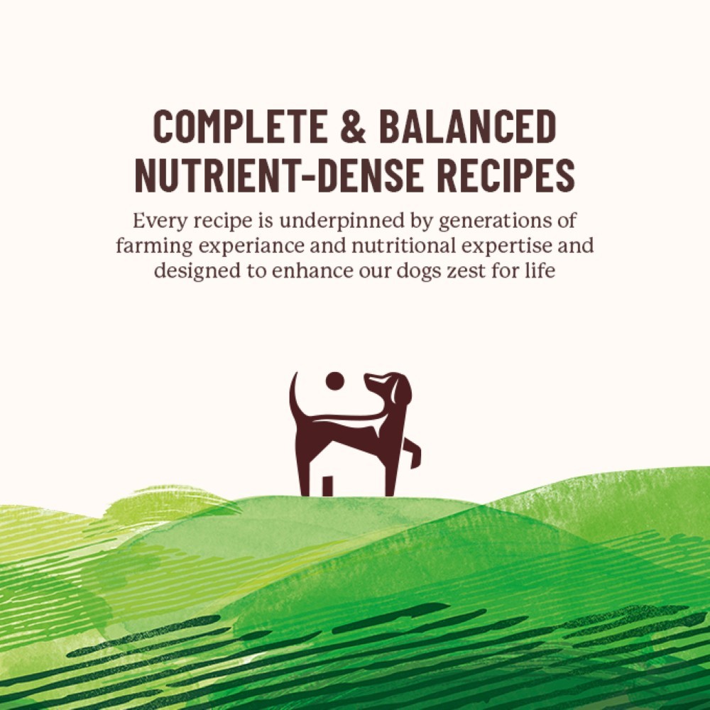 Vitalin Lamb and Mint Adult Dry Dog Food - 2kg