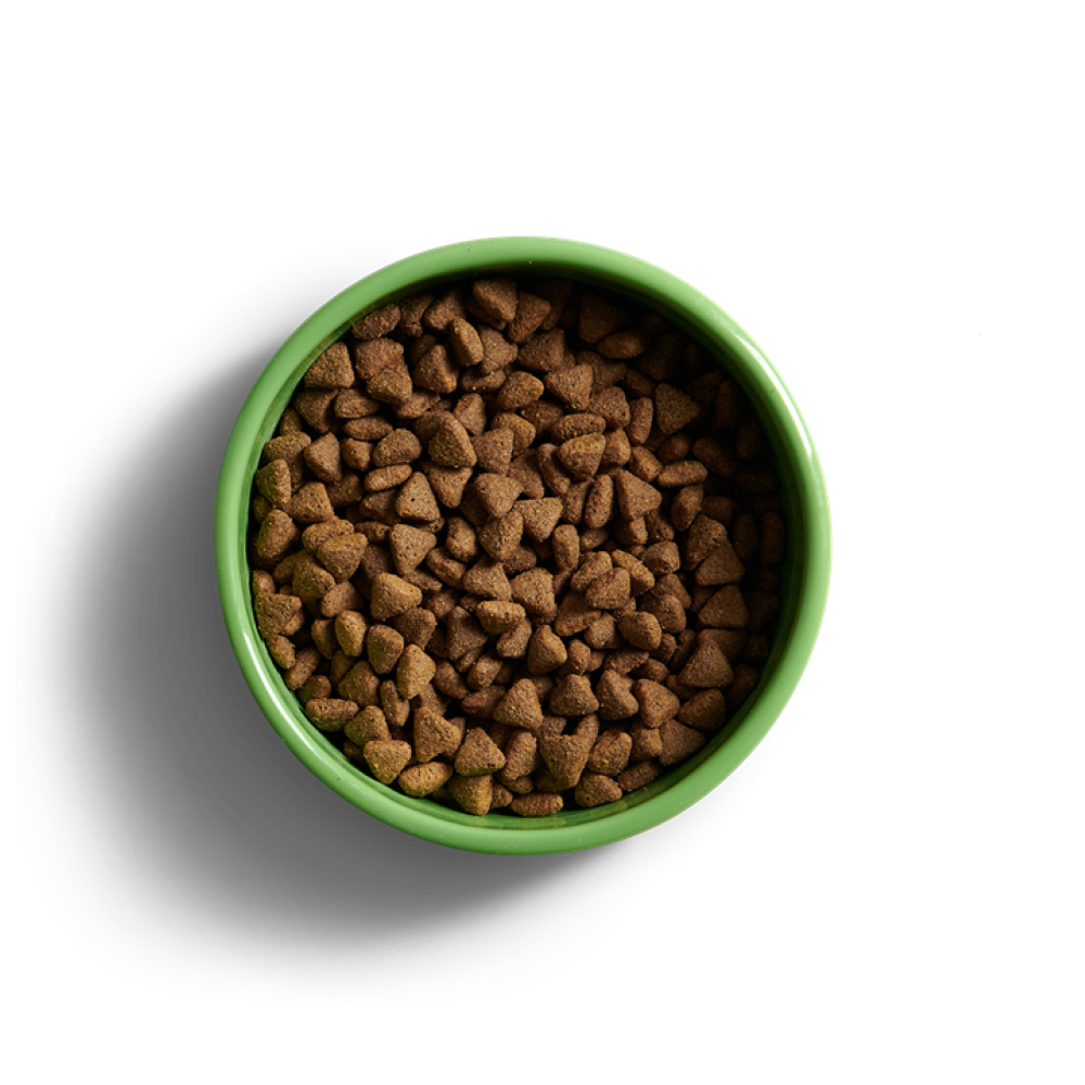 YORA Insect Protein Adult Grain Free Dog Food - 12kg