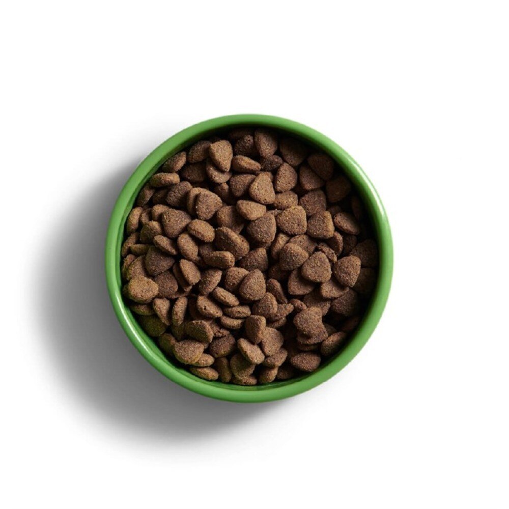 YORA Insect Protein Adult Large Breed Dog Food - 12kg
