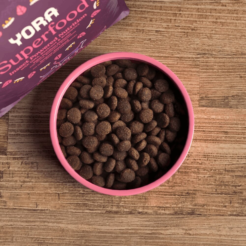 YORA Insect Protein All Stage Cat & Kitten Food - 1.5kg