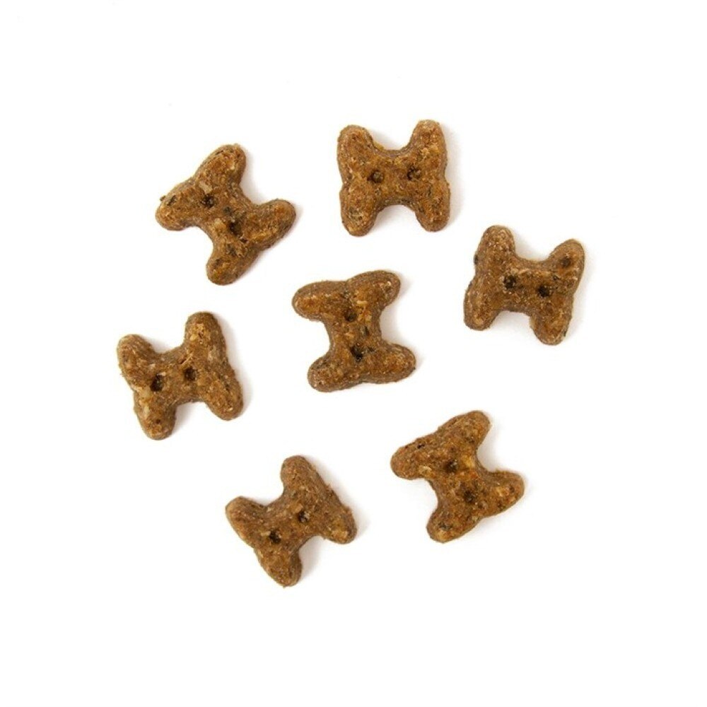 YORA Insect Protein Rewards Carrot & Apple Dog Treats - 100g