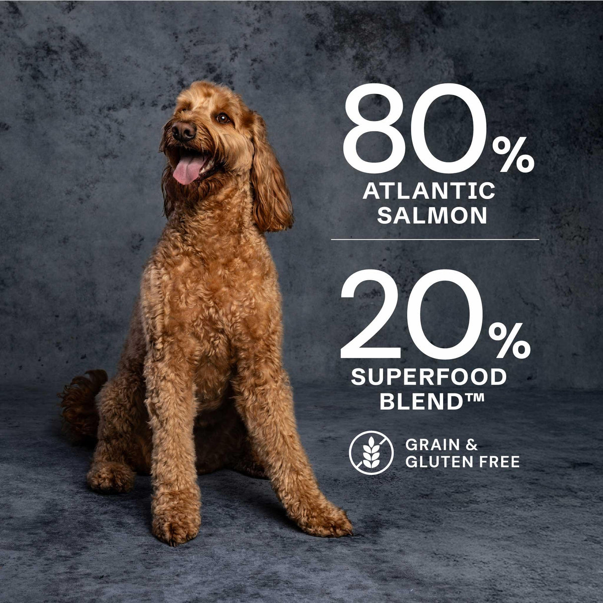 AATU 80/20 Grain Free Salmon Dry Dog Food - 10kg