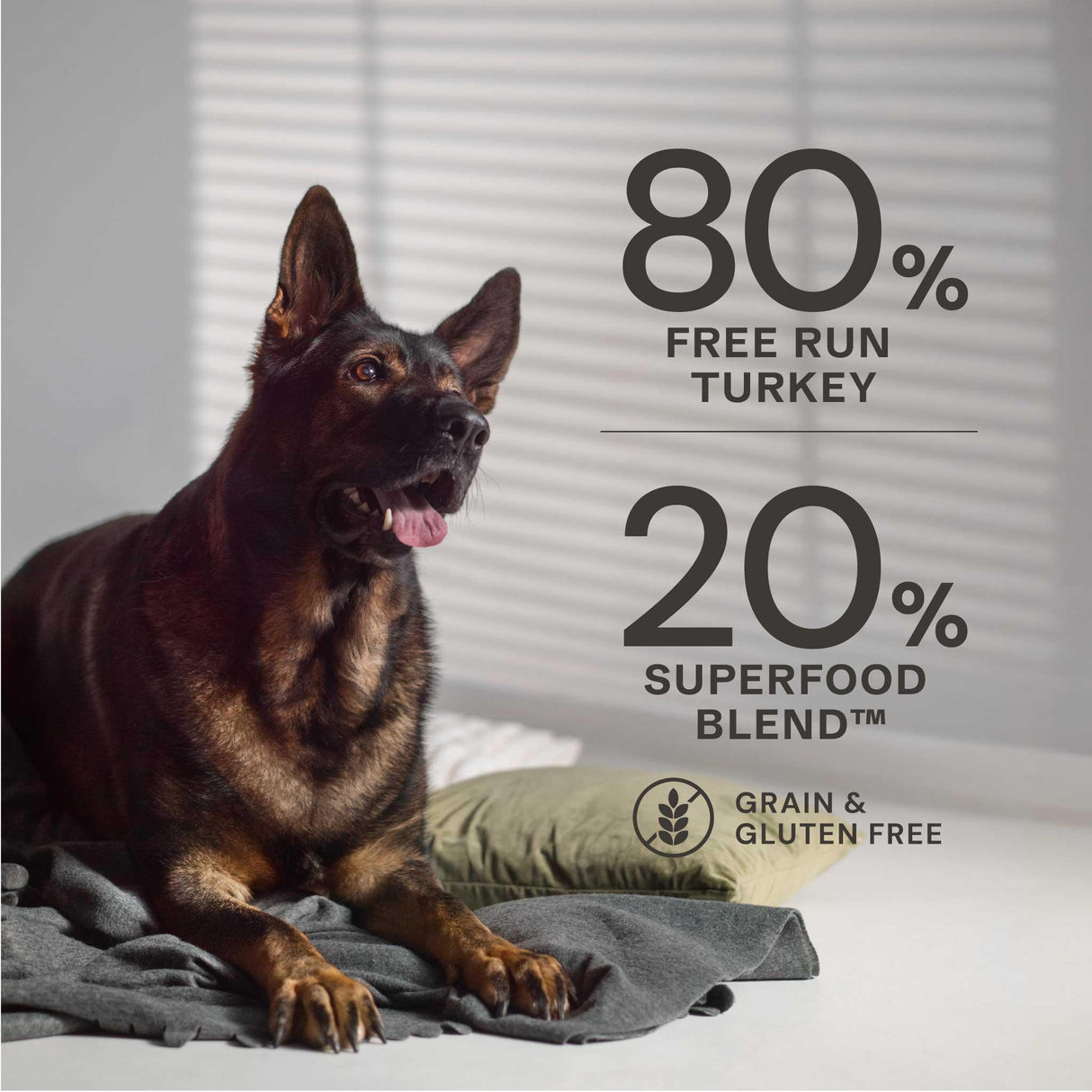 AATU Dog 80/20 Turkey Dry Food - 1.5kg
