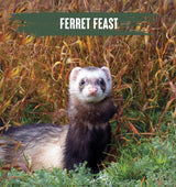 Alpha Ferret Feast Ferret Food - 10kg