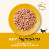 Applaws Chicken Breast in Jelly Kitten Wet Cat Food Tins - 6x70g