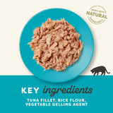 Applaws Tuna Fillet in Jelly Adult Wet Cat Food Tins - 24x70g