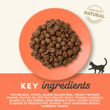 Applaws Chicken with Salmon Adult Dry Cat Food - 2kg