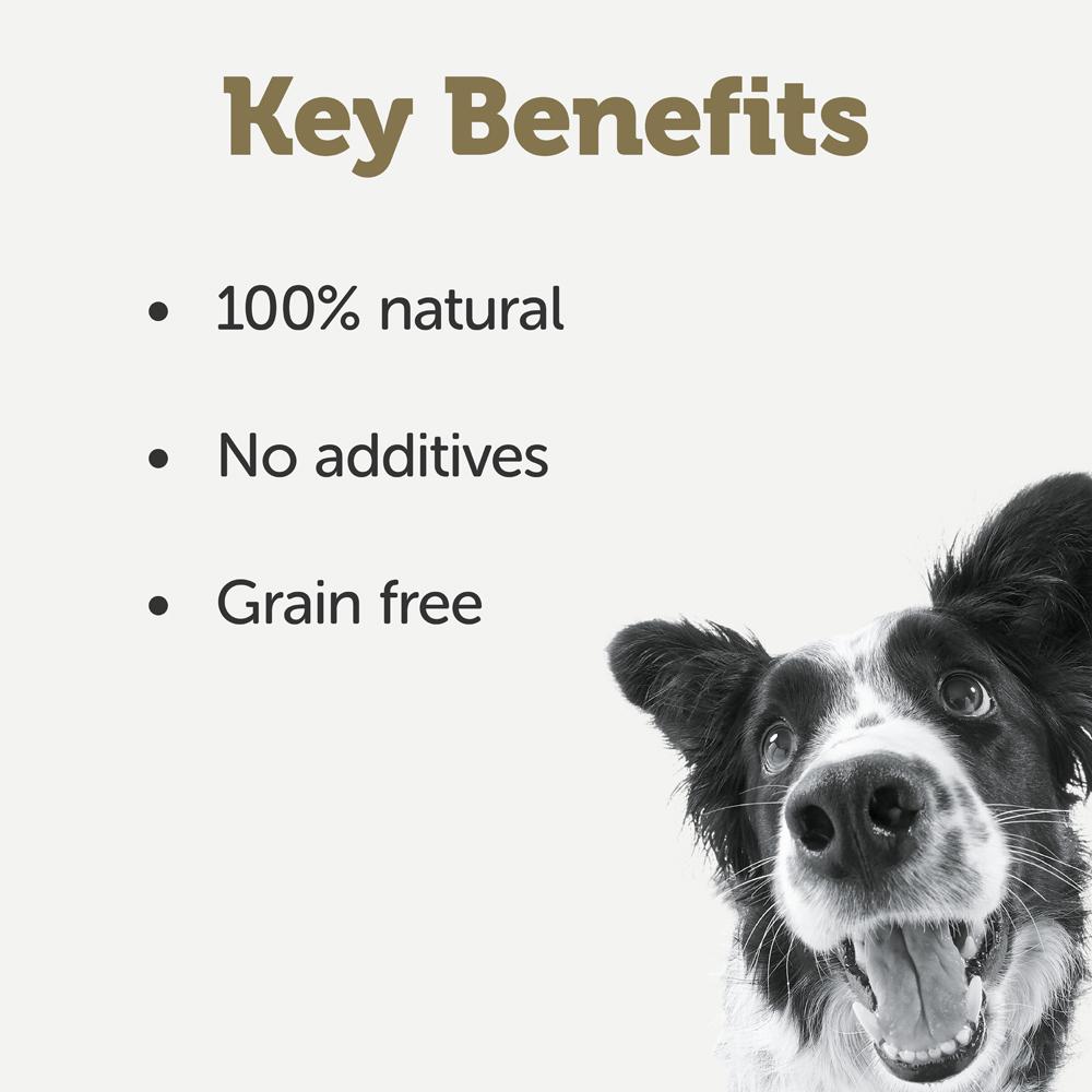 Applaws Selection in Stew Adult Wet Dog Food Tins - 8 x 156g