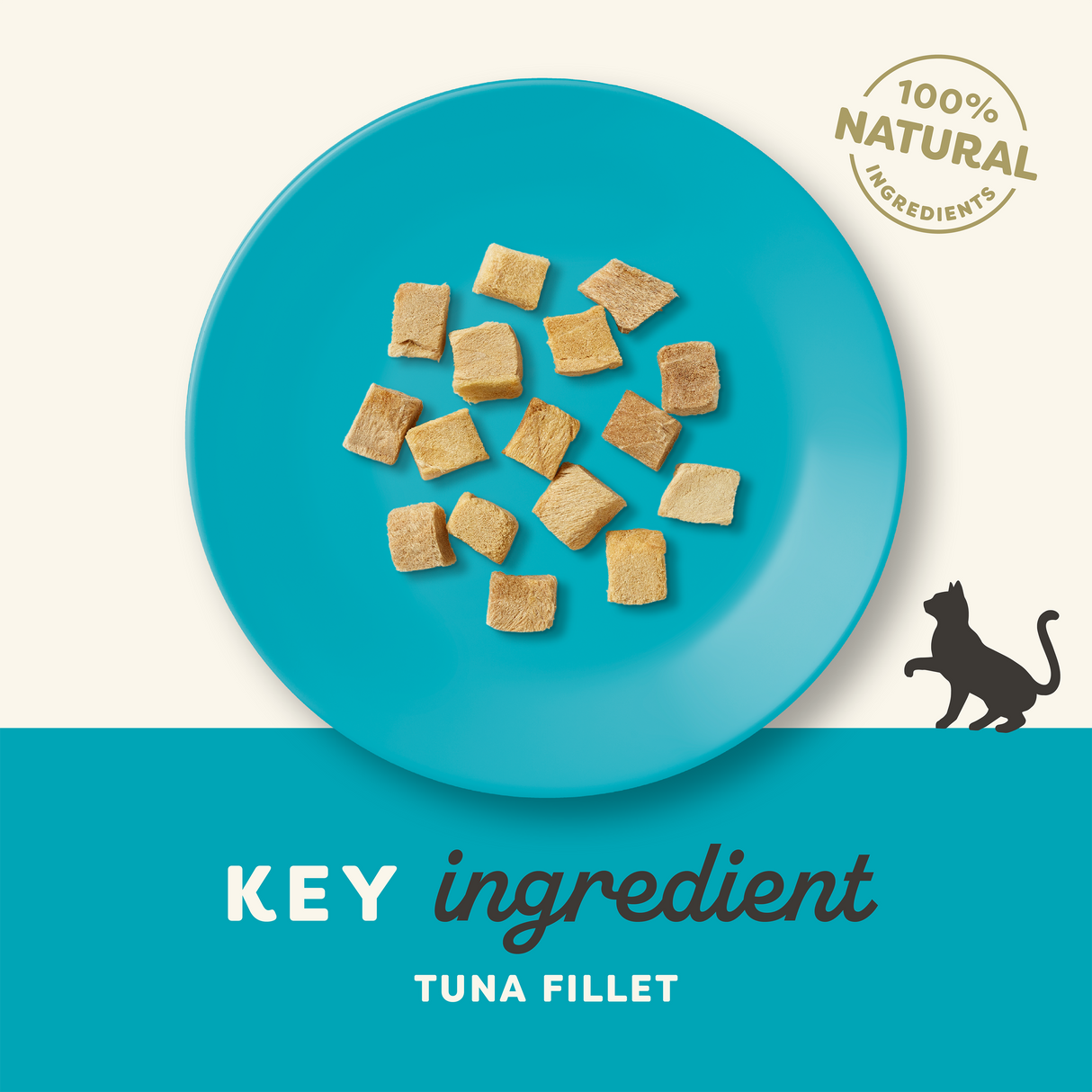 Applaws Tuna Fillet Freeze Dried Cat Treats - 10g