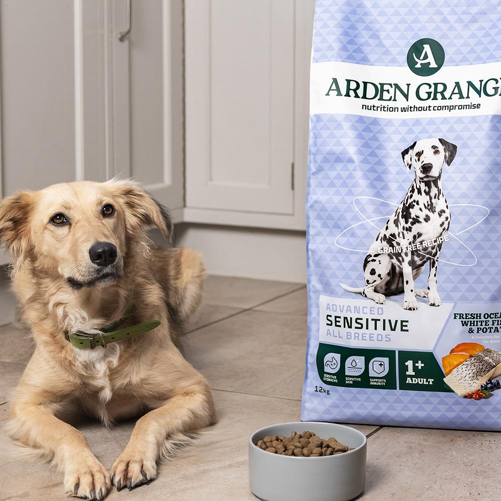 Arden Grange Adult Sensitive Dry Dog Food - 2kg