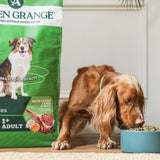 Arden Grange Lamb & Rice Dry Dog Food - 2kg