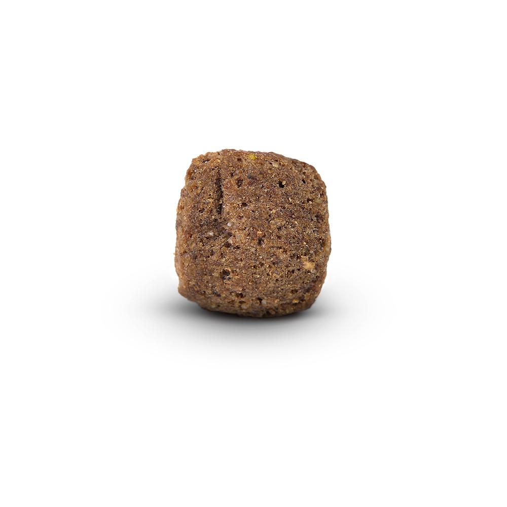 Arden Grange Light/Senior Sensitive Grain Free Dry Dog Food - 12kg