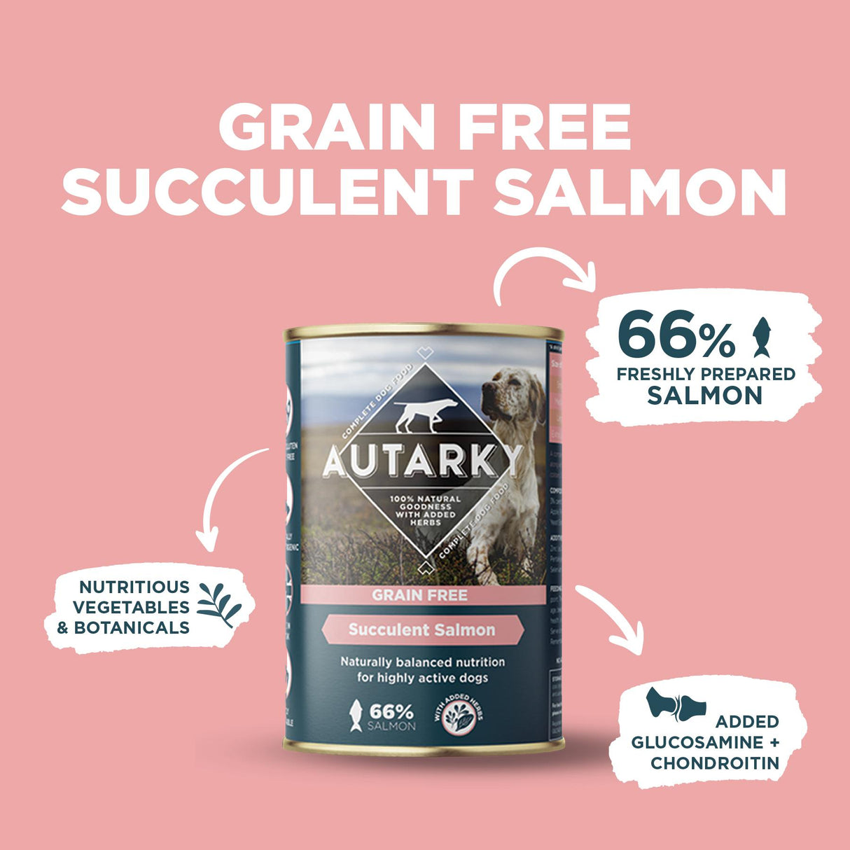 Autarky Adult Succulent Salmon Wet Dog Food Cans - 12 x 395g
