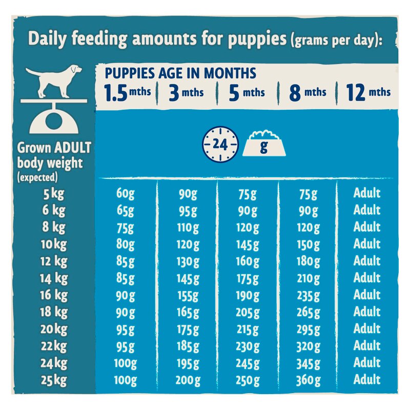 Beta Puppy Turkey and Lamb Dry Dog Food - 2kg