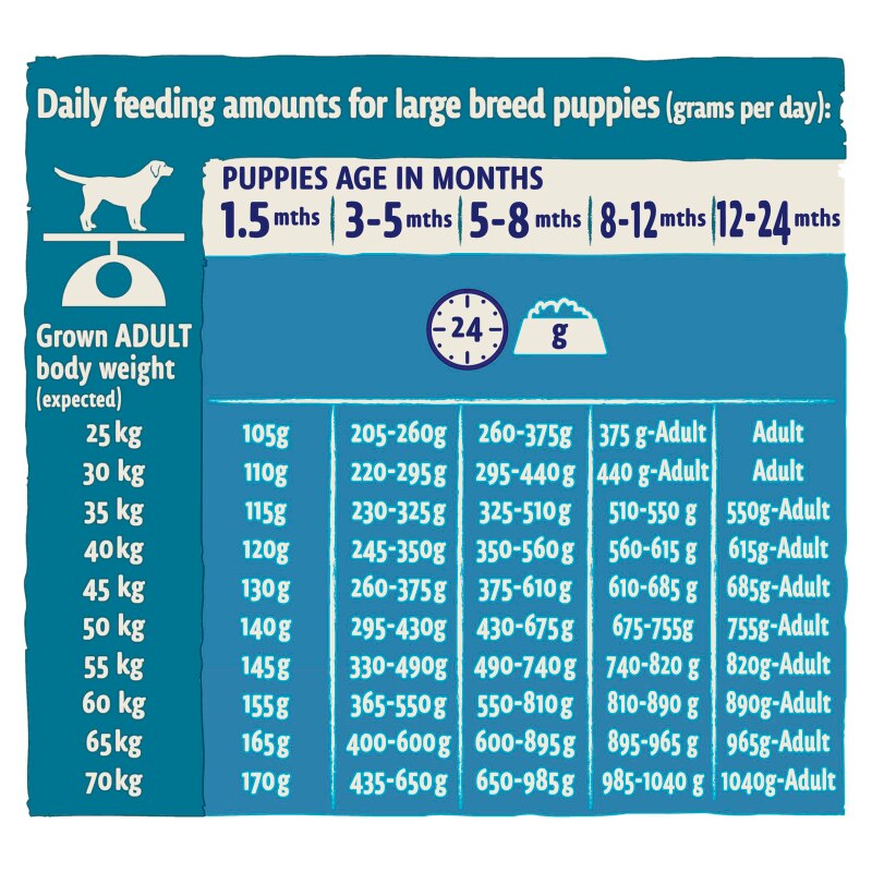 BETA Puppy Large Breed Turkey Dry Dog Food - 14kg