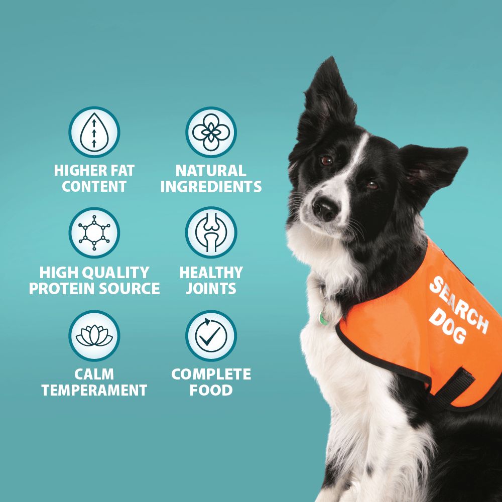 Burns Active Working Chicken & Rice Dry Dog Food - 12kg