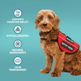 Burns Alert Assistance Chicken & Brown Rice Dry Dog Food - 12kg