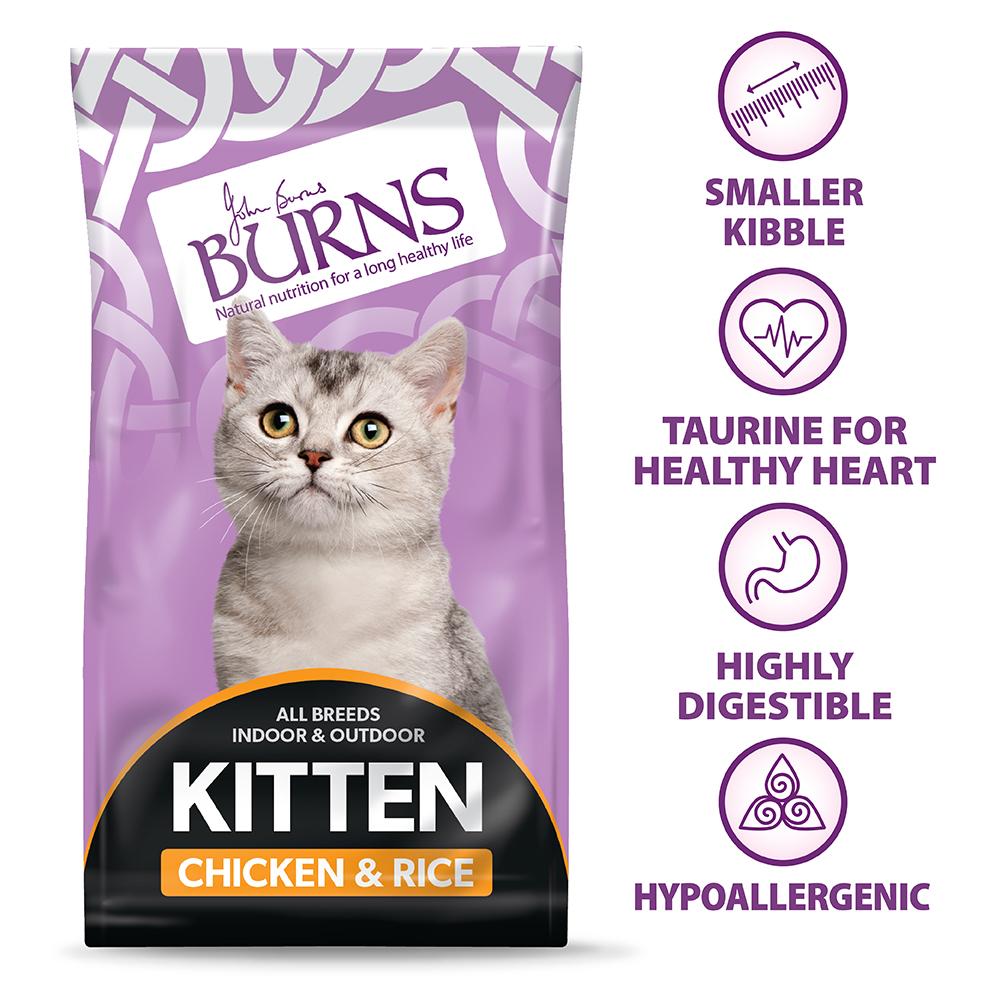 Burns Chicken & Rice Dry Kitten Food - 1.5kg