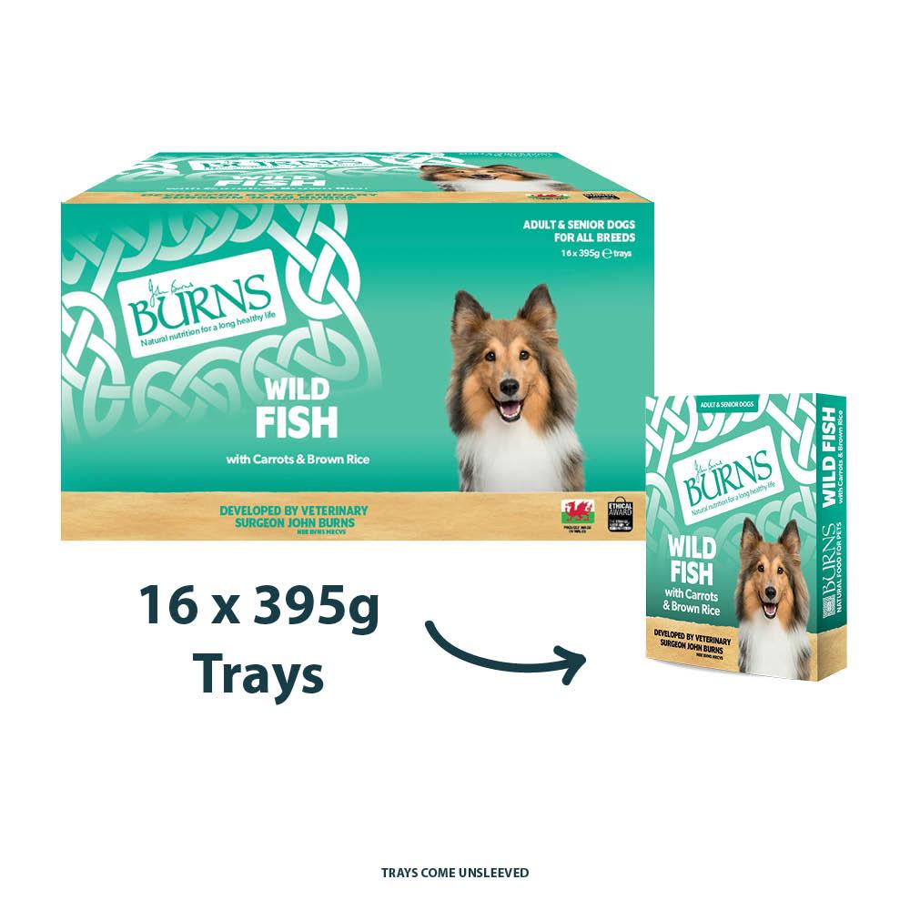 Burns Fish Bumper Box Wet Dog Food Trays - 16 x 395g