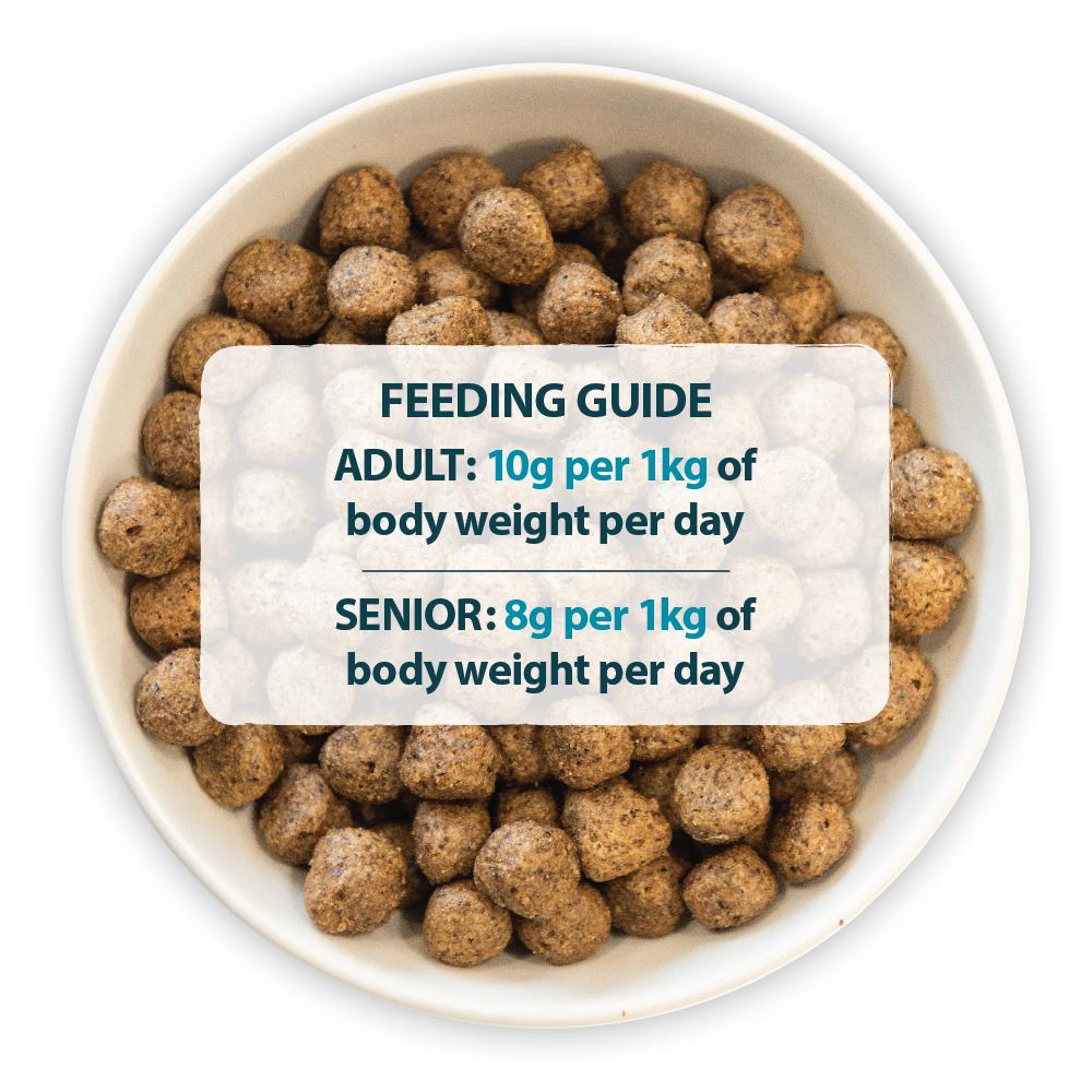 Burns Sensitive Grain Free Duck & Potato Dry Dog Food - 2kg