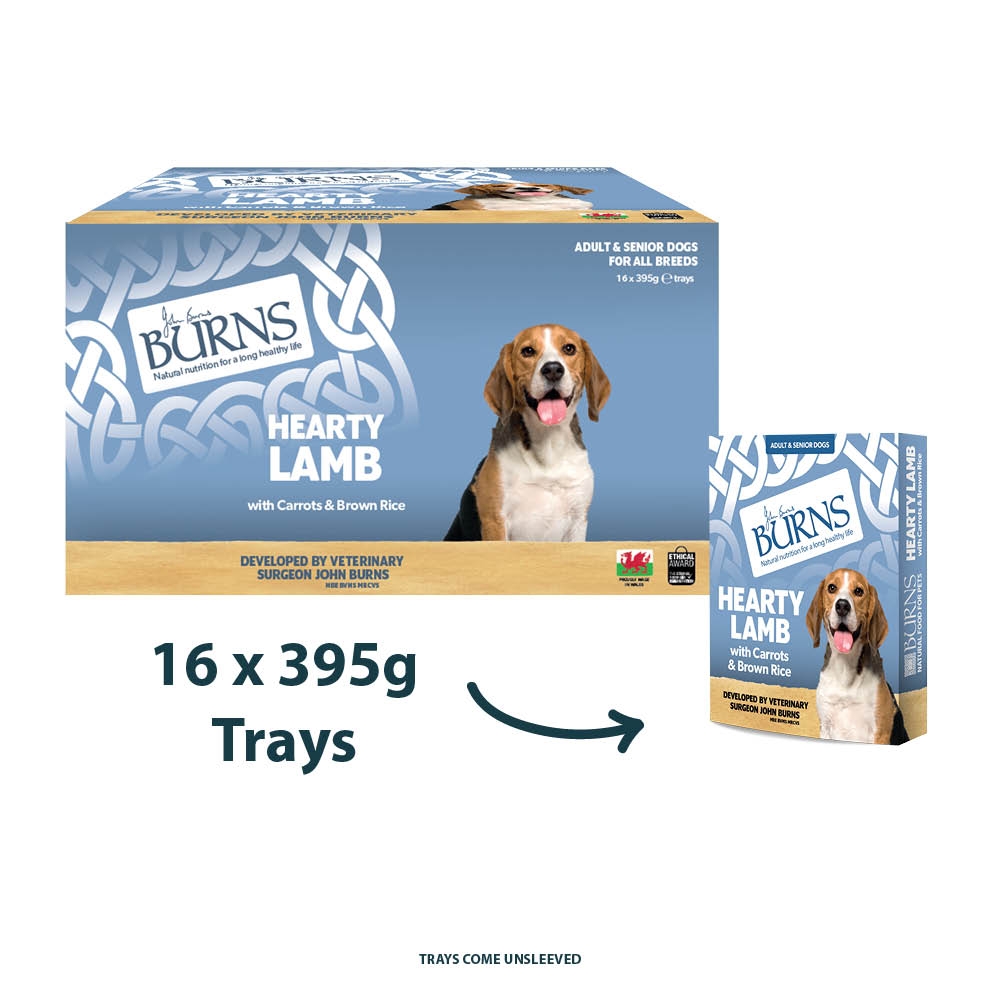 Burns Wet Dog Food Trays - Bumper, Organic & Variety Range