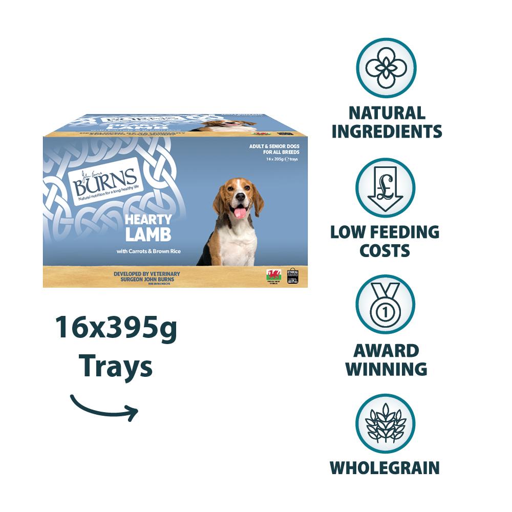 Burns Lamb Bumper Box Wet Dog Food Trays - 16 x 395g