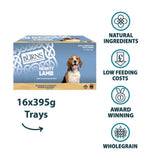 Burns Lamb Bumper Box Wet Dog Food Trays - 16 x 395g