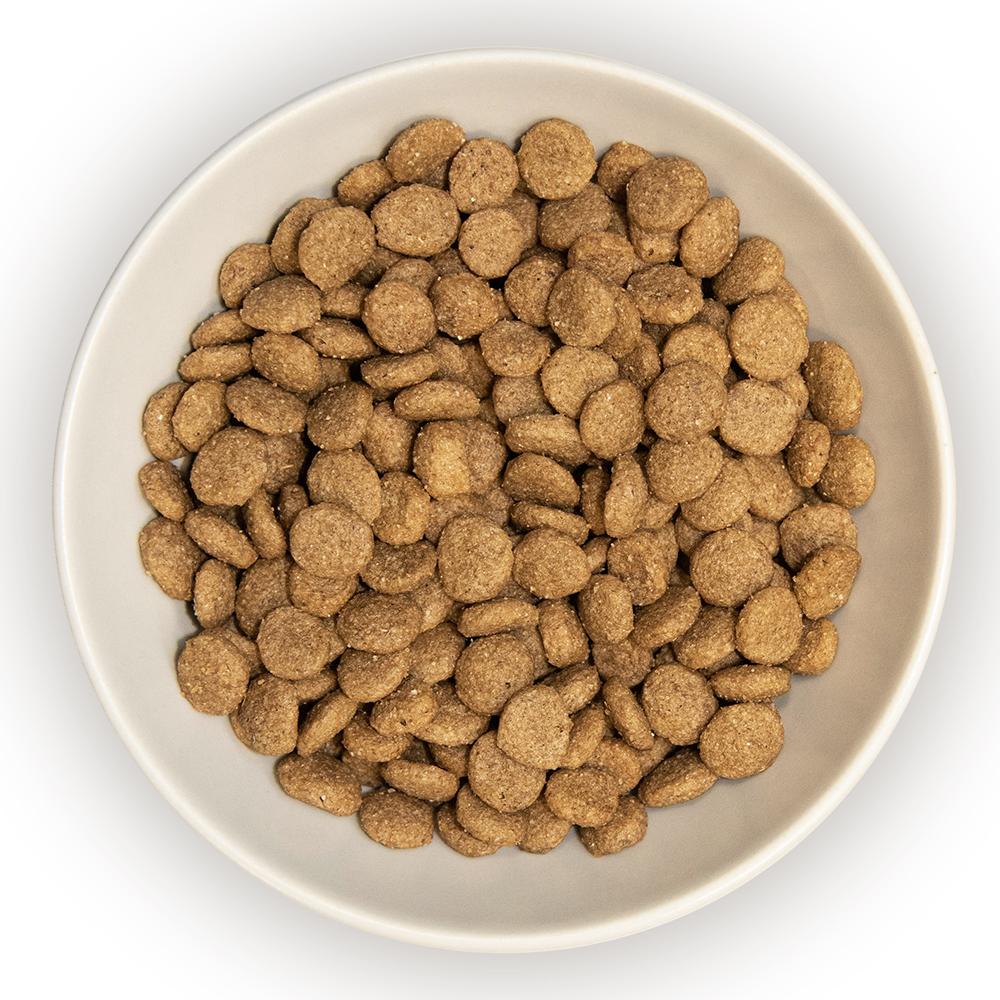 Burns Original Turkey & Brown Rice Dry Cat Food - 1.5kg