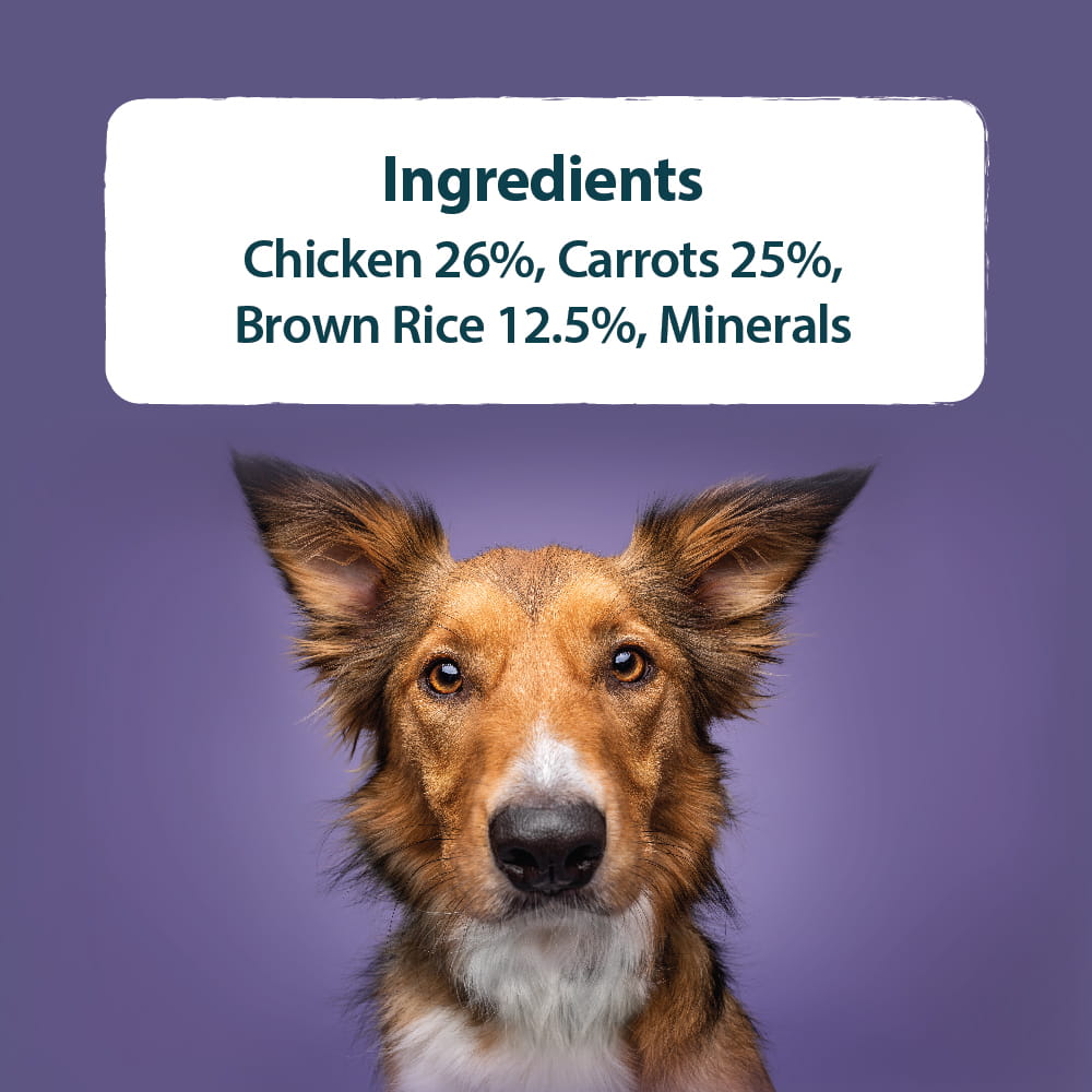 Burns Organic Chicken with Carrots & Organic Brown Rice Wet Dog Food Trays - 12 x 150g