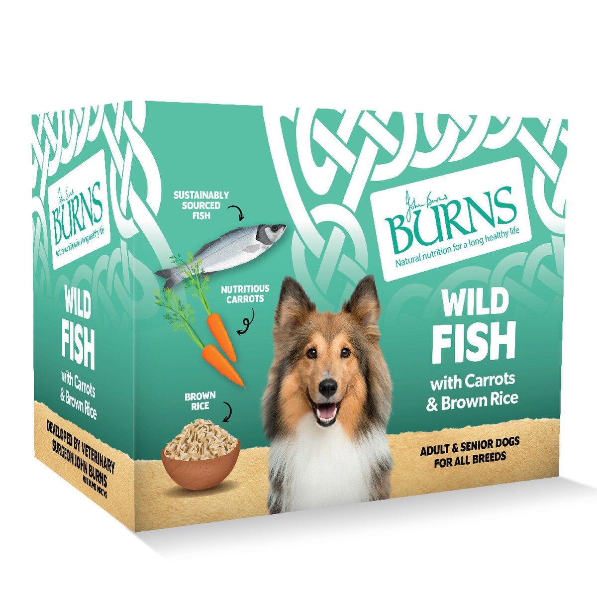 Burns Wild Fish with Carrots and Organic Brown Rice Wet Dog Food Trays - 6 x 395g