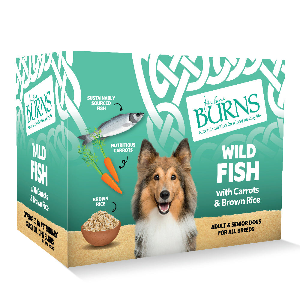 Burns Wet Dog Food Trays - Bumper, Organic & Variety Range