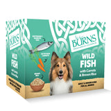 Burns Wet Dog Food Trays - Bumper, Organic & Variety Range