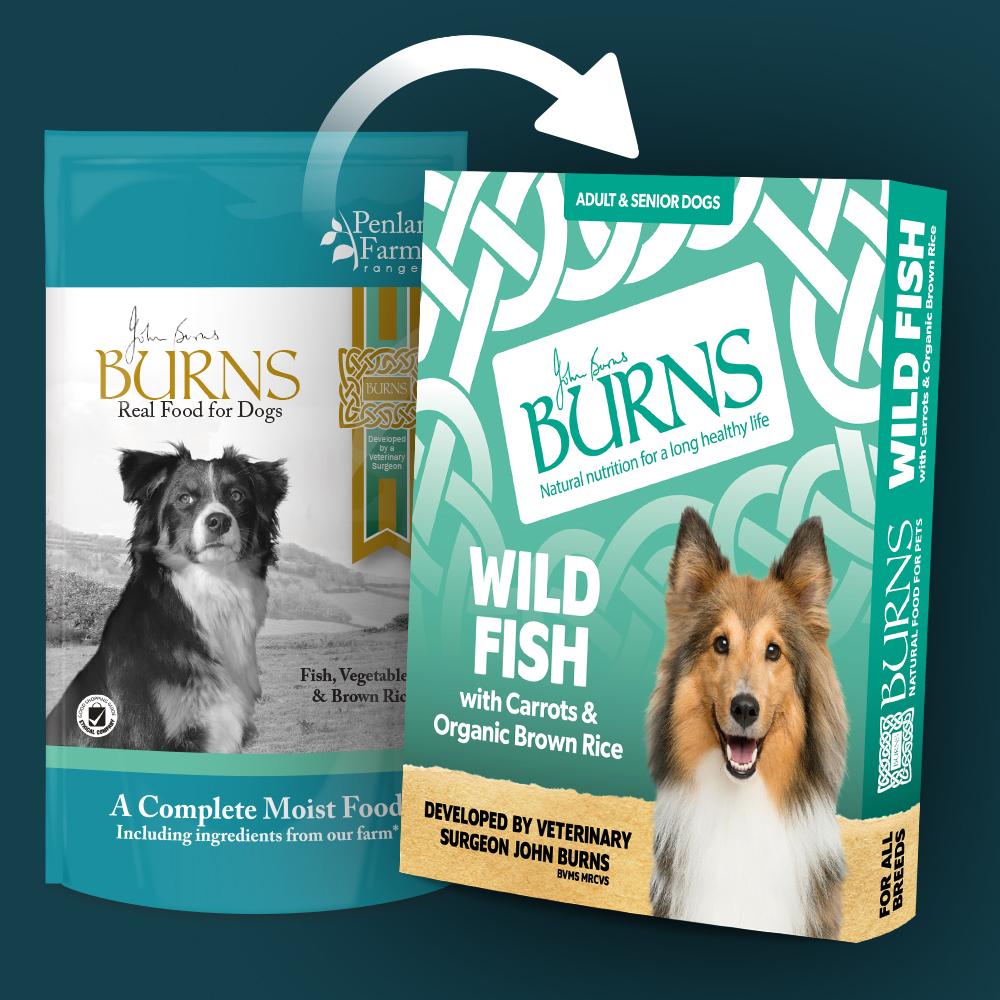 Burns Wild Fish with Carrots and Organic Brown Rice Wet Dog Food Trays - 12 x 150g