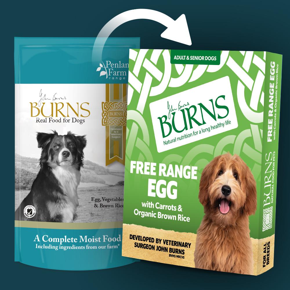 Burns Variety Box Wet Dog Food Trays - 12 x 150g
