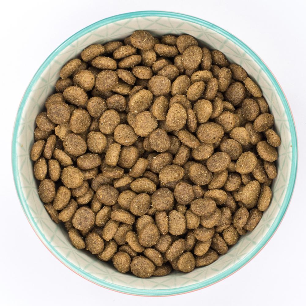 Burns Puppy Mini Chicken & Rice - 2kg