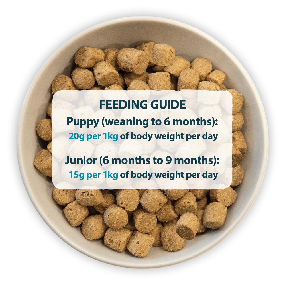 Burns Puppy Original Lamb & Rice - 6kg