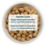 Burns Puppy Original Lamb & Rice - 6kg