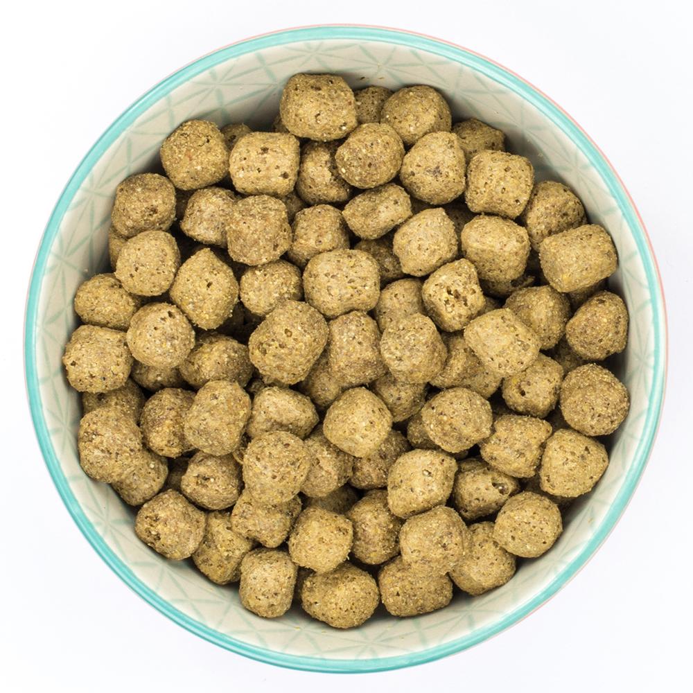Burns Sensitive Chicken & Wholegrain Maize Dry Dog Food - 6kg