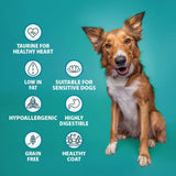 Burns Sensitive Grain Free Turkey & Potato Dry Dog Food - 2kg
